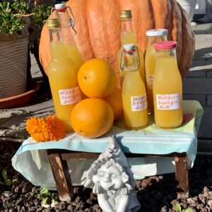 Kürbis-Orangensaft